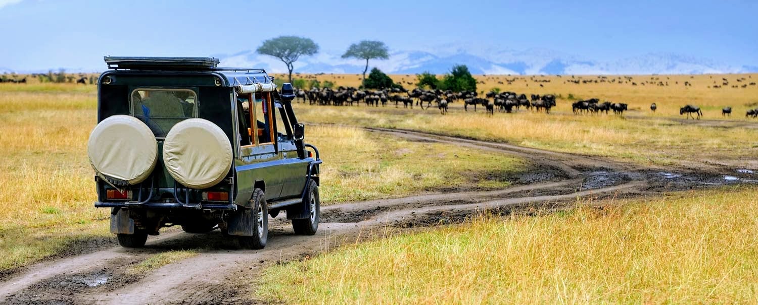 סליידר מסע ג'יפים מקיף חוצה קניה