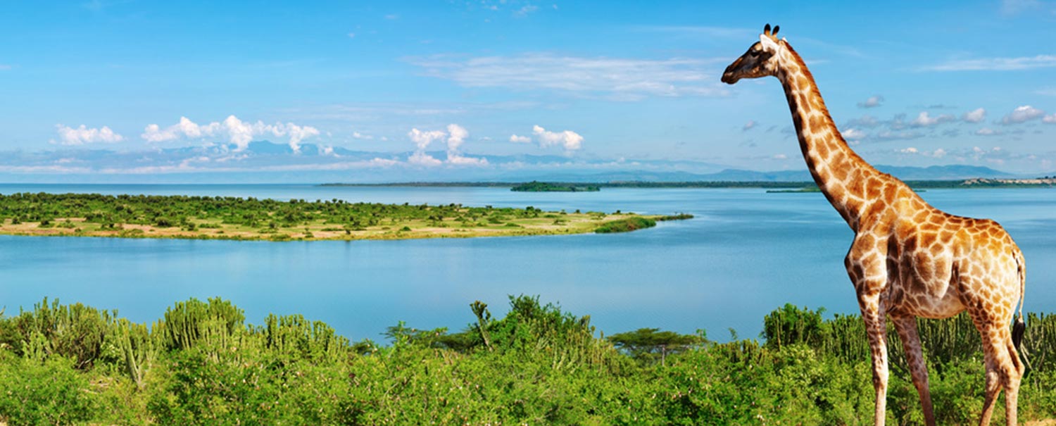 סליידר טיול לאוגנדה בעלי החיים המיוחדים ונהר הנילוס העוצמתי