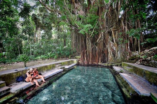 230_925475521523478398