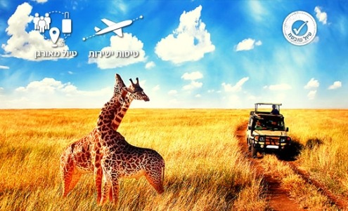 שתי ג'ירפות בסוואנה עם ג'יפ ברקע TANZANIA