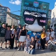 רובע גנגנאם סאול דרום קוריאה SOUTH KOREA