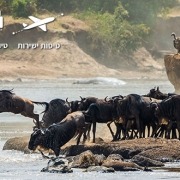 MIGRATION TANZANIA