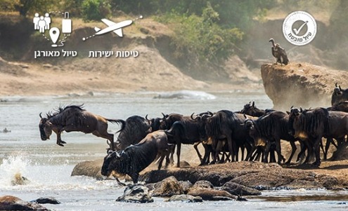 MIGRATION TANZANIA