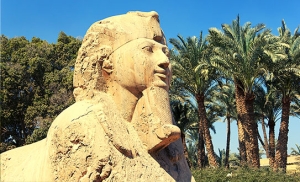 ALABASTER SPHINX memphis EGYPT