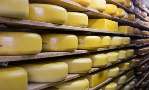 גבינות באמסטרדם