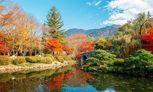 אגם במתחם מקדש בולגוקסה בעיר גיונגז'ו בדרום קוריאה בעונת השלכת