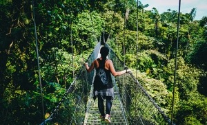 הגשר התלוי של יער טירימבינה