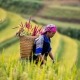 BLACK HMONG WOMAN SAPA VIETNAM