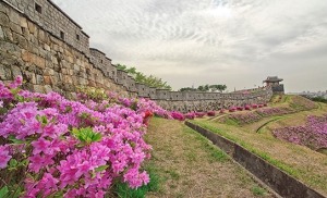 מבצר HWASEONG בקוריאה הדרומית