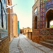 טיול לאוזבקיסטן בסוכות