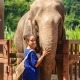 ילדה עם פיל בבית המחסה לפילים בצ'יאנג מאי תאילנד