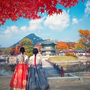 טיול לדרום קוריאה באוקטובר