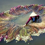 טיול נשים לווייטנאם