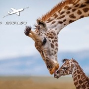 טיול לטנזניה וזנזיבר בפסח