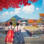 טיול לקוריאה הדרומית בשלכת