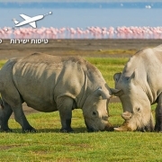 מיי טריפ - טיולים לטנזניה