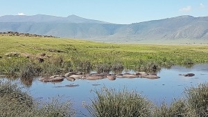 20170202_102145