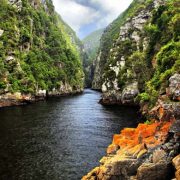 טיול לדרום אפריקה ובוצואנה