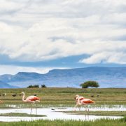 מזג האוויר בארגנטינה, מה צריך לדעת