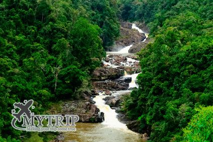 Evergreen tropical rainforest with rocky small waterfall crossing in the middle in Ranomafana national park Madagascar - מדגסקר
