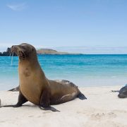 האתרים החשובים באיי גלפגוס