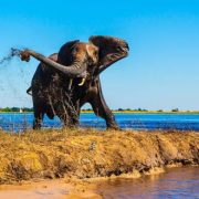 טיול בבוצואנה: פלאי הטבע