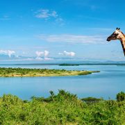 טיול באוגנדה - הנילוס ובעלי החיים
