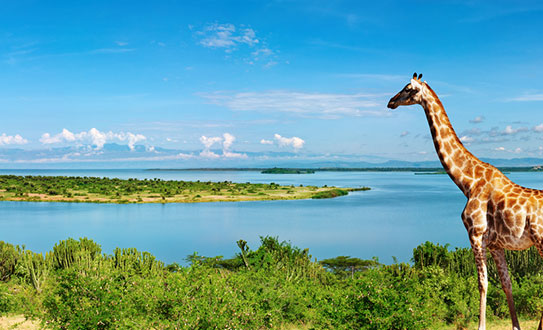nile