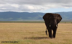 ngorongoro-crater