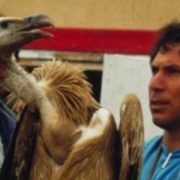 נדב לוי - מדריך טיולים