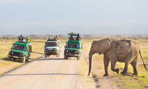 AMBOSELI