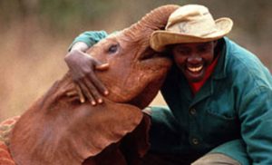 Daphne-Sheldrick-Orphange