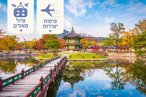 מיי טריפ - טיולים לדרום קוריאה