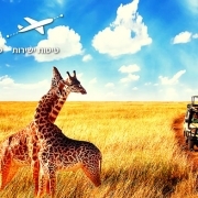 טיולים לטנזניה