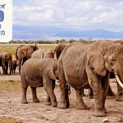 מיי טריפ - טיולים ומסעות