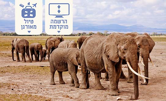 ראשית-קניה