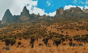 MOUNT-KENYA-NATIONAL-PARK מיי טריפ - טיול לקניה