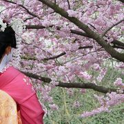 מיי טריפ - טיולים מאורגנים