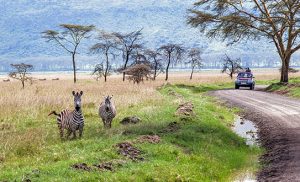 NAKURU-NATIONAL-PARK מיי טריפ - ספארי בקניה