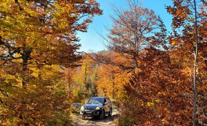 MONTENEGRO-JEEP
