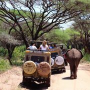 מיי טריפ - טיול לטנזניה עם ילדים