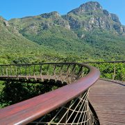 טיולים מאורגנים לדרום אפריקה