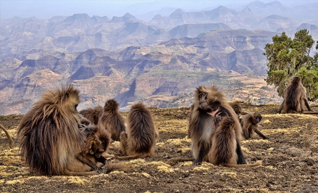 טיול באתיופיה