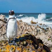מיי טריפ - טיולי משפחות