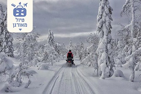 טיול ספארי חורף בשוודיה