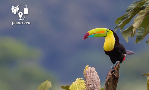 טיול לקוסטה ריקה