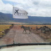 טיול ספארי בטנזניה