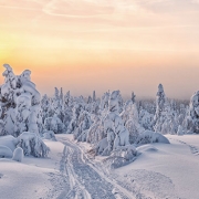 פינלנד למטייל