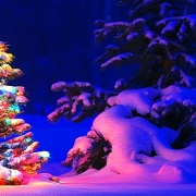 חג המולד מסביב לעולם