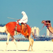 טיול לאיחוד האמירויות